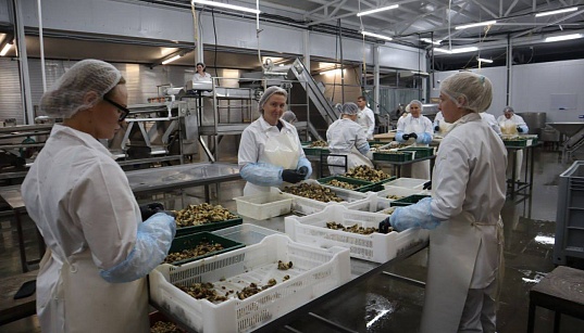 Заемное финансирование на приобретение товарно-материальных ценностей ООО «Альянс Инвест» Заемное финансирование на приобретение товарно-материальных ценностей ООО «Альянс Инвест»